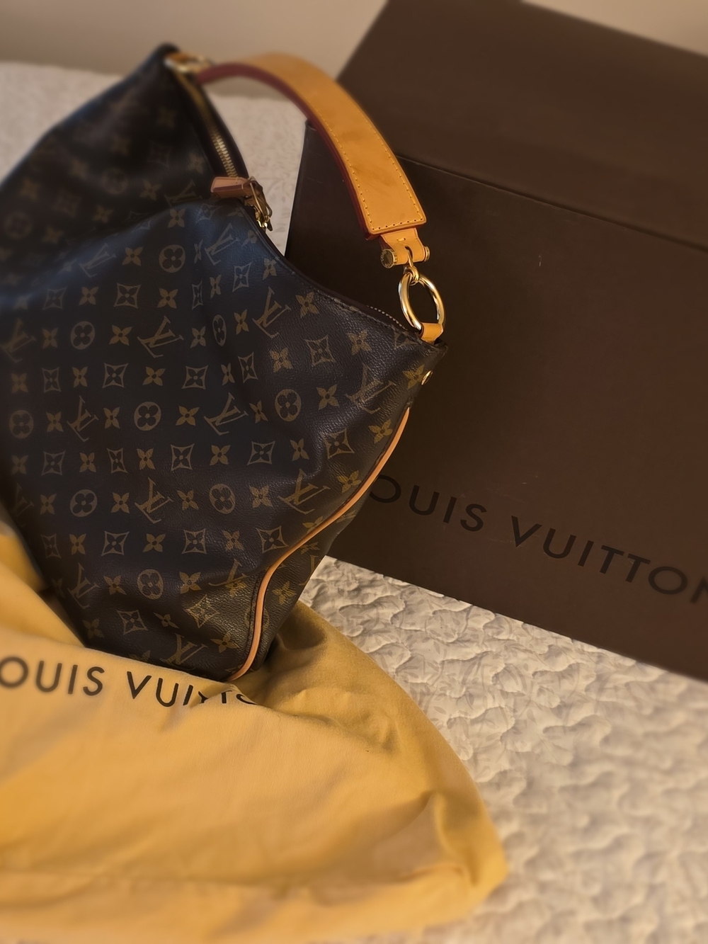 Louis Vuitton Monogram Shoulder Hobo Bag in Brown and Vachetta - Picture 1 of 16